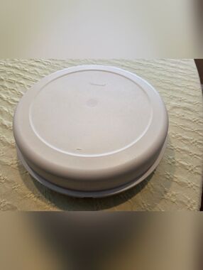 Vintage Tupperware Carrier